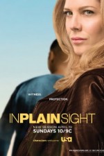 Watch In Plain Sight Movie4k